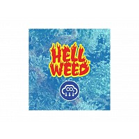 HELL WEED CO2 CULTIVO INDOOR MAYOR PRODUCCION