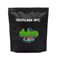 SWEED LAB TROPICANA WFC SEMILLA FEMINIZADA