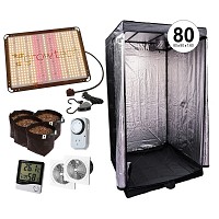 KIT INDOOR COMPLETO CARPA 80 LED GROWTECH QUANTUM 150