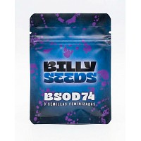 SEMILLAS FEMINIZADAS BILLY SEEDS PURPLE KARMA HÍBRIDA ÍNDICA
