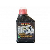 COMBO TOP CROP AUTOMATICAS UNDERGROUND AUTO CANDY 250ML