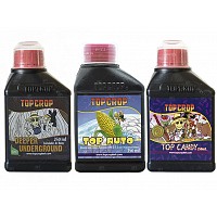 COMBO TOP CROP AUTOMATICAS UNDERGROUND AUTO CANDY 250ML
