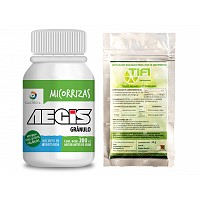 MICRORRIZAS 200CC TRICODERMAS 20GR TIFI AEGIS