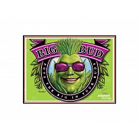 ADVANCED NUTRIENTS BIG BUD 250ML