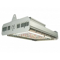 COMBO CULTIVARG CARPA 100 ACCESORIOS LED JX 150 CREE