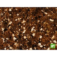 SUSTRATO EDEN LIVIANO PREMIUM CULTIVO 10 LITROS