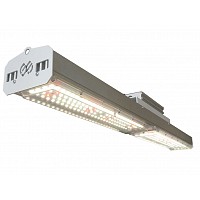 INDOOR KIT CULTIVO LED JX 200 CREE GS CARPA BELLAVITA 150