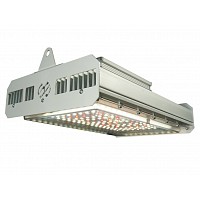 INDOOR KIT CULTIVO LED JX 150 CREE CARPA GARDEN ECOPRO 100