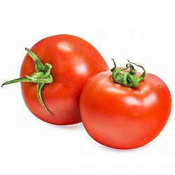 SEMILLAS DE TOMATE REDONDO PARA HUERTA