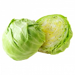 SEMILLAS DE REPOLLO HORTICULTURA PARA HUERTA