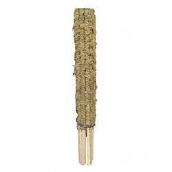 TUTOR DE MUSGO TURBA SPHAGNUM 45CM