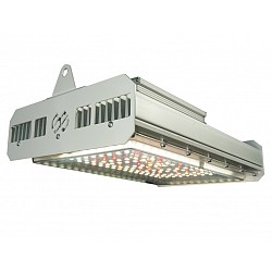 INDOOR KIT CULTIVO LED JX 150 CREE GS CARPA BELLAVITA 120