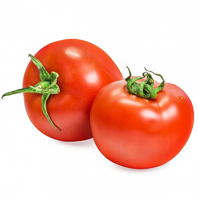 SEMILLAS DE TOMATE REDONDO PARA HUERTA