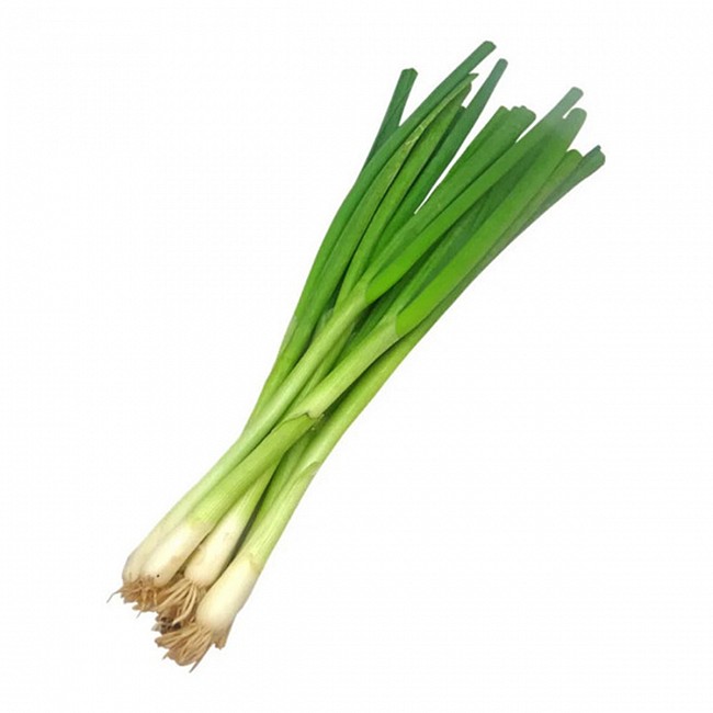 SEMILLAS DE CEBOLLA DE VERDEO PARA HUERTA