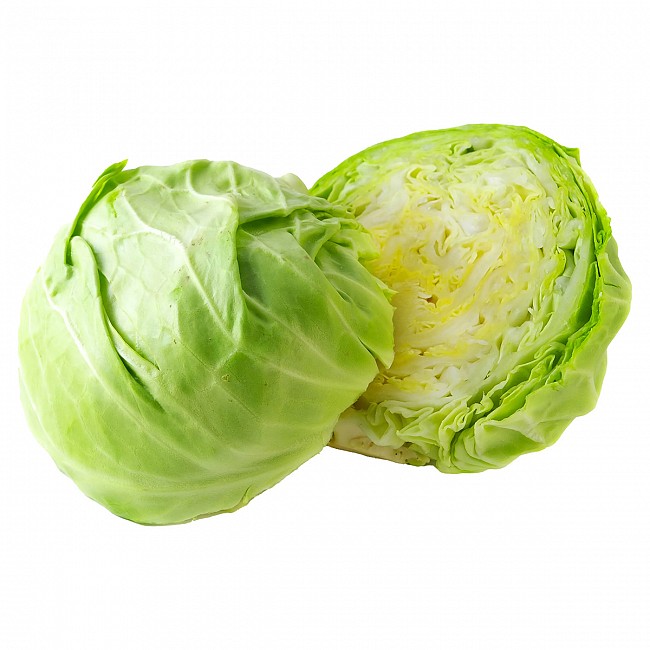 SEMILLAS DE REPOLLO HORTICULTURA PARA HUERTA