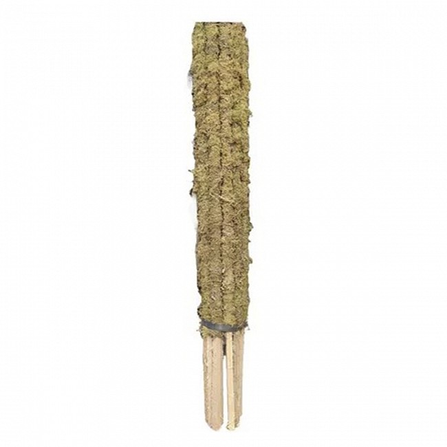 TUTOR DE MUSGO TURBA SPHAGNUM 45CM