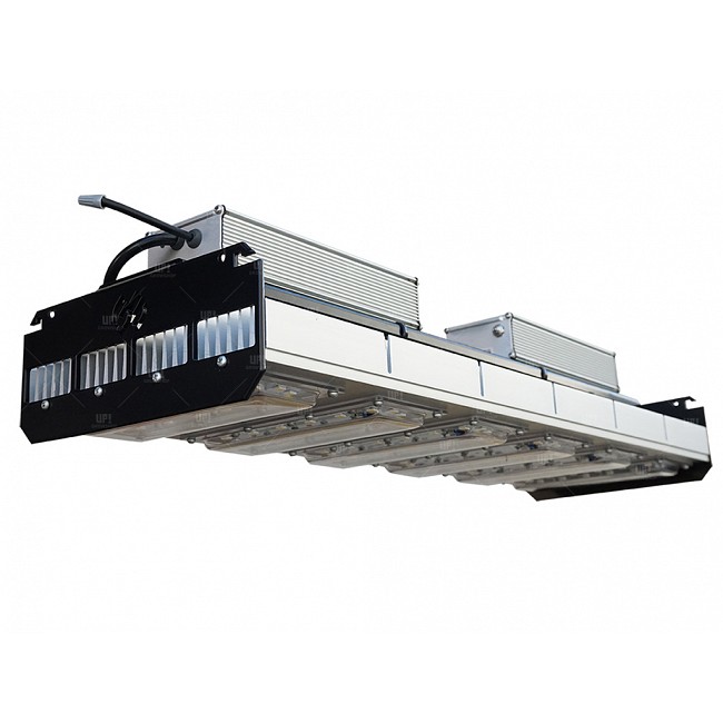 COMBO GARDEN HIGH PRO CARPA ACCESORIOS LED JX 300 CREE INDOOR