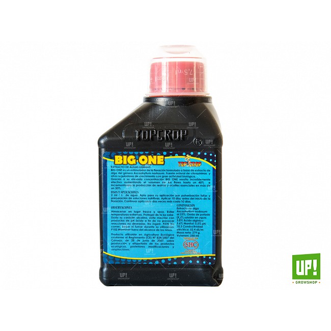 TOP CROP BIG ONE BIOESTIMULANTE 100 ML