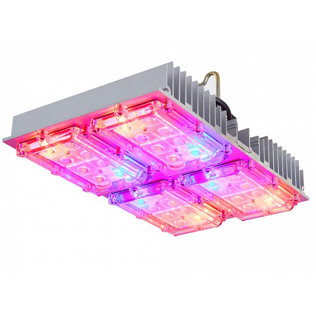 COMBO COMPLETO GROWTECH 90W CREE LED CARPA CULTIVARG ACCESORIOS