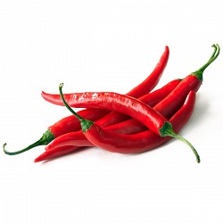 SEMILLAS DE PIMIENTOS PICANTES MIX (JALAPEÑO, CAYENNE, ANAHEIM) PARA HUERTA SEMILLAS DE PIMIENTOS PICANTES MIX (JALAPEÑO, CAYENNE, ANAHEIM) PARA HUERTA